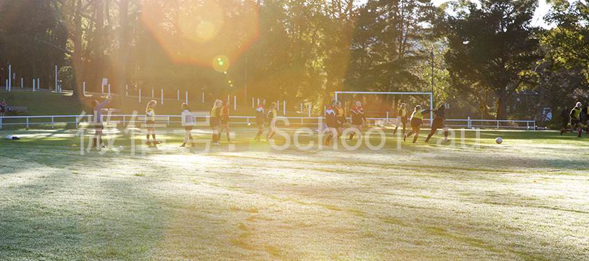 平布尔女子学院